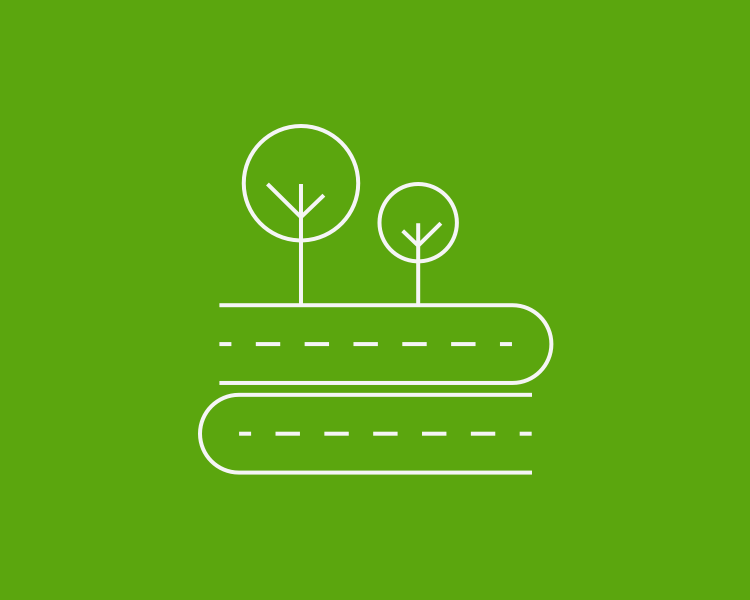 A street lined with trees