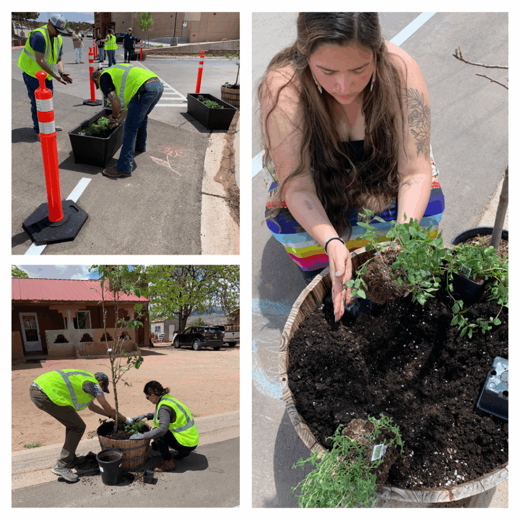 Four images depicting volunteers and community members participating in a quick-build project in the Pueblo of Jemez, including planting plants in planters to slow traffic